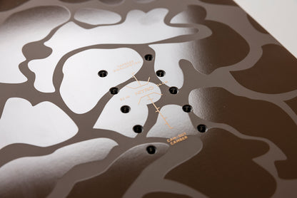 Nitro FINTWIN Snowboard Mens Winter 2026  Freeride All-Mountain Board